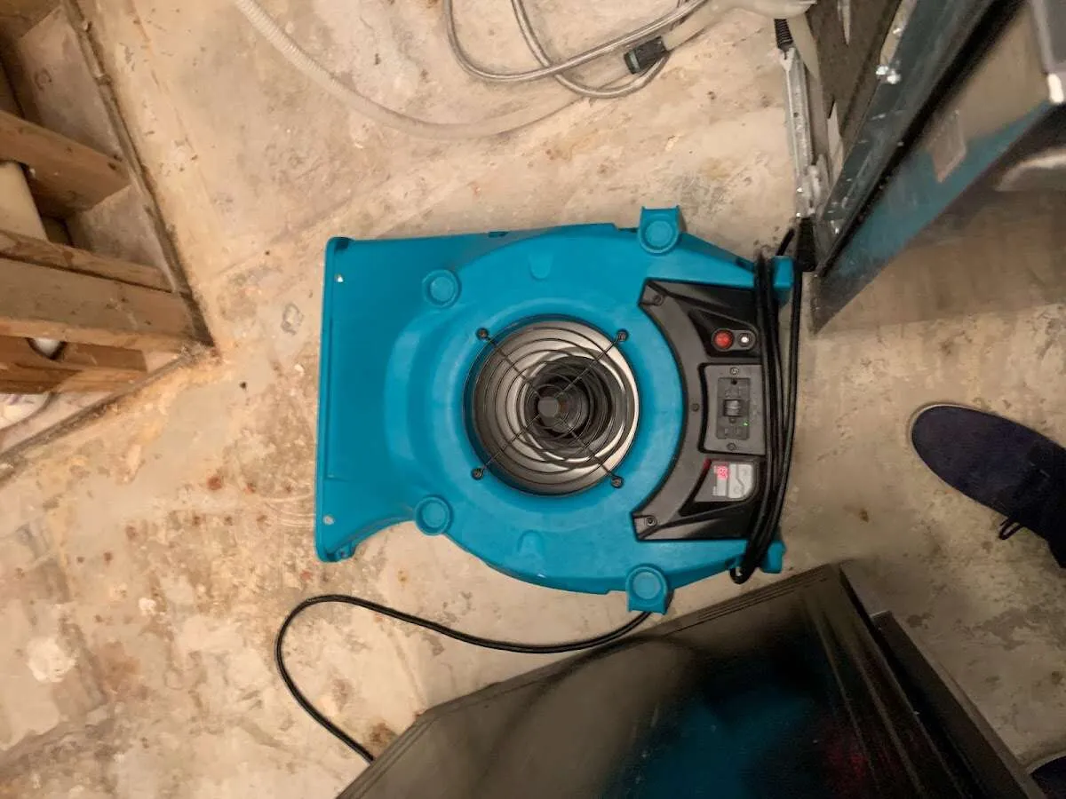 Air mover drying equipment for Mold Remediation & Removal in Ferndale